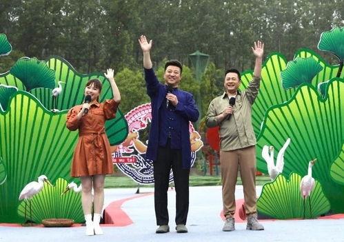 老木哥最新爆料新闻视频,最新爆料新闻视频深度解析